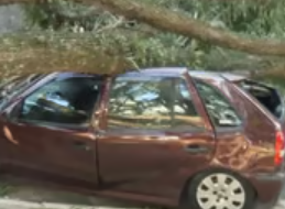 Milhões sem luz, falta d’água e voos cancelados: consequências do vendaval em SP