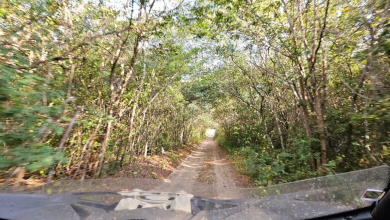 Rede Estadual de Trilhas visa fortalecer o turismo sustentável no Piauí