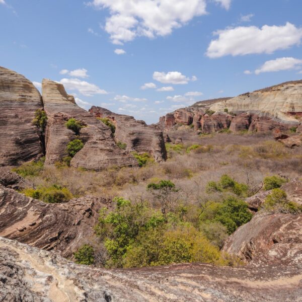 Serra da Capivara recebe mais de 44 mil visitantes em 2025; saiba como funciona a visitação