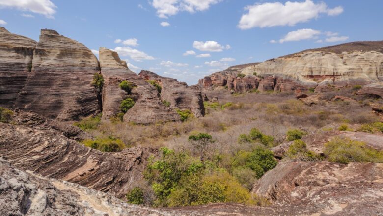 Serra da Capivara recebe mais de 44 mil visitantes em 2025; saiba como funciona a visitação