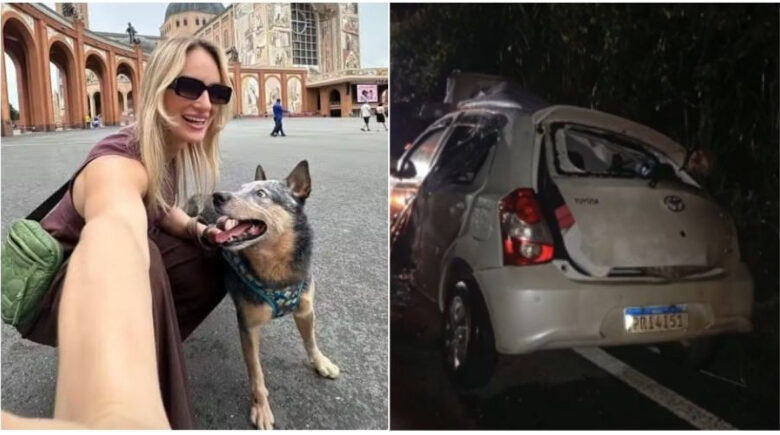 Cachorro sobrevive e permanece ao lado de tutora morta após acidente no ES