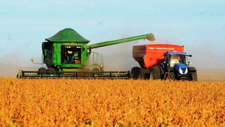 Exportações superam importações e garantem superávit de US$ 883,4 milhões ao Piauí