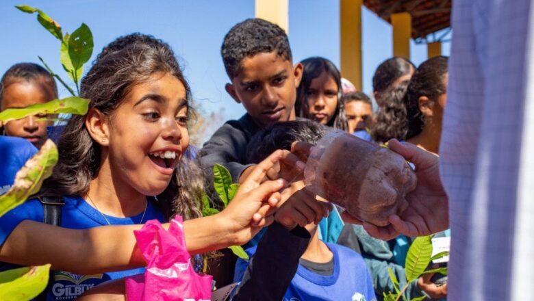 Piauí desenvolve pesquisa inovadora usando hidrogel para recuperar solos e combater desertificação no estado