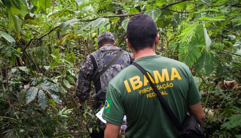 Colaborador do Ibama é assassinado em emboscada em terra indígena no Pará