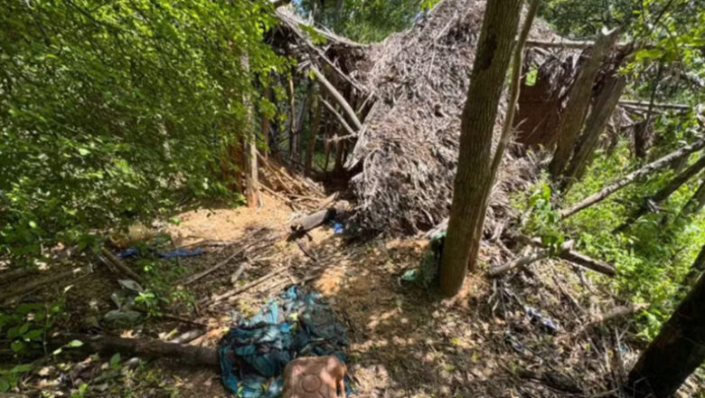 Cães confirmam que irmãos desaparecidos em Bacabal estiveram em casa abandonada