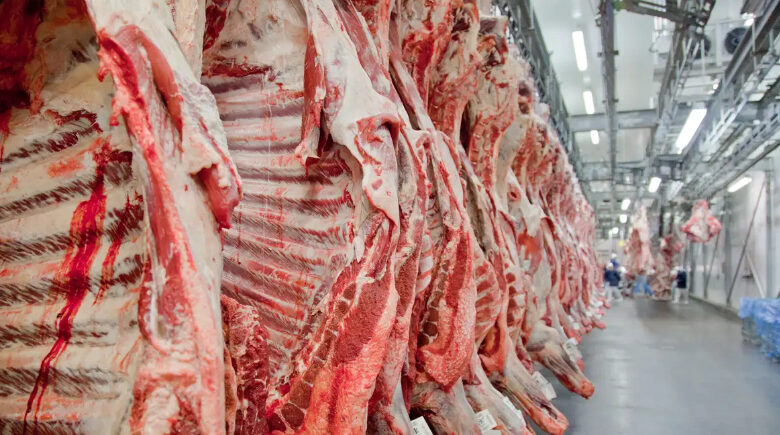 Brasil se torna o maior produtor de carne bovina do mundo após superar os EUA
