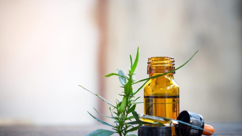 Anvisa avança em proposta para normatizar cultivo e produção de cannabis medicinal