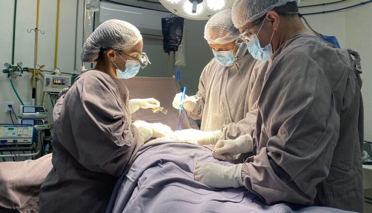 Piauí bate recorde em transplantes e doação de órgãos