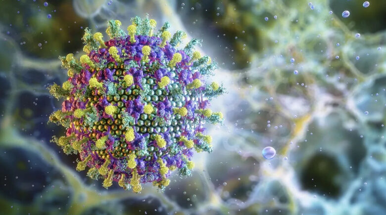 Vírus Nipah é detectado na Índia: o que é, sintomas, transmissão e tratamento