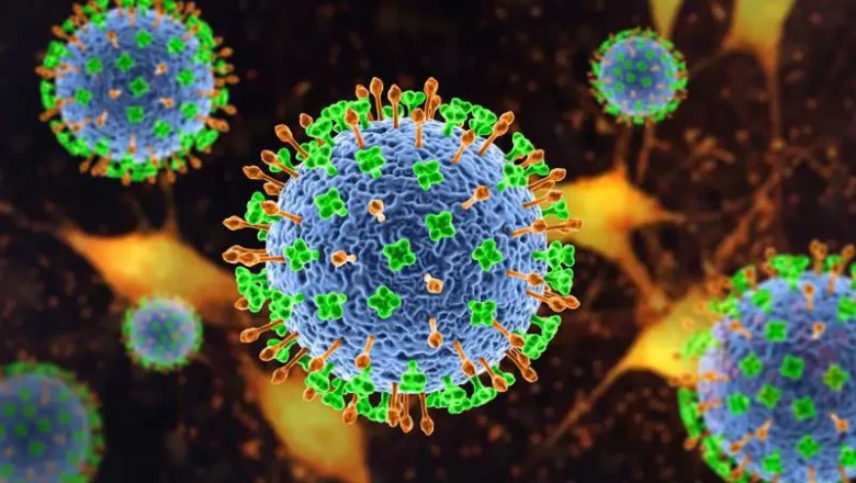 Risco do vírus Nipah é baixo e não ameaça o Brasil, diz Ministério da Saúde