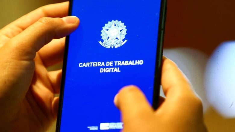 Piauí ultrapassa, pela primeira vez, 300 mil trabalhadores com carteira assinada, aponta IBGE