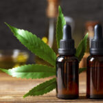 Anvisa publica regras para produção de cannabis medicinal no país