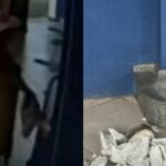 Estátua de Padre Cícero é destruída por turista argentina no Ceará