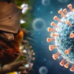 Às vésperas do Carnaval, infectologista fala sobre vírus Nipah: “Não precisa ficar tão preocupado”