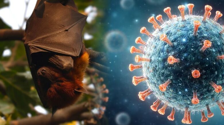 Às vésperas do Carnaval, infectologista fala sobre vírus Nipah: “Não precisa ficar tão preocupado”