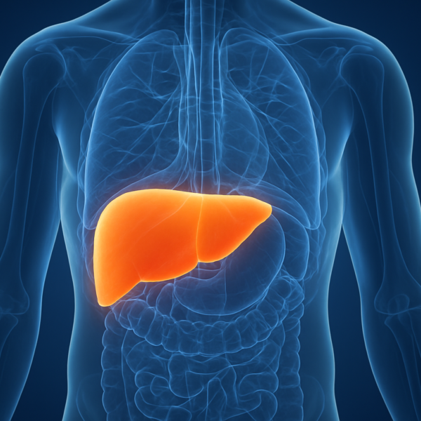 Gordura no fígado: a nova epidemia silenciosa que ameaça milhões de brasileiros