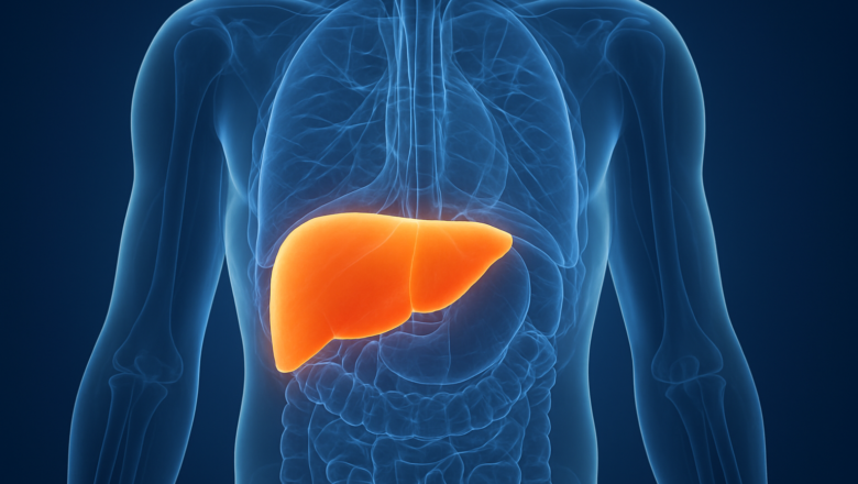 Gordura no fígado: a nova epidemia silenciosa que ameaça milhões de brasileiros