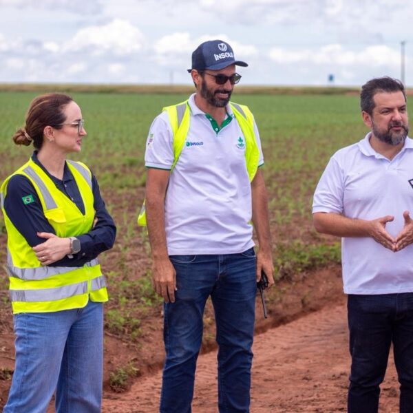 Com apoio da Investe Piauí, fazenda já produz cerca de 300 milhões de toneladas de soja e milho por ano no sul do estado