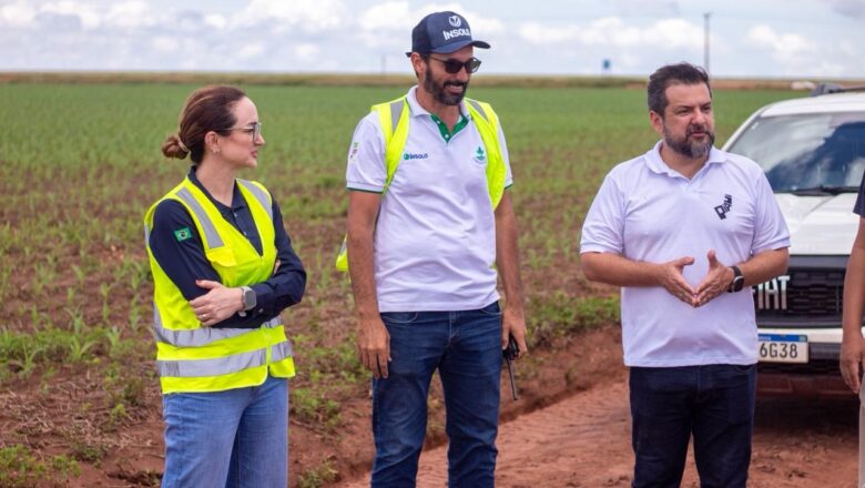 Com apoio da Investe Piauí, fazenda já produz cerca de 300 milhões de toneladas de soja e milho por ano no sul do estado