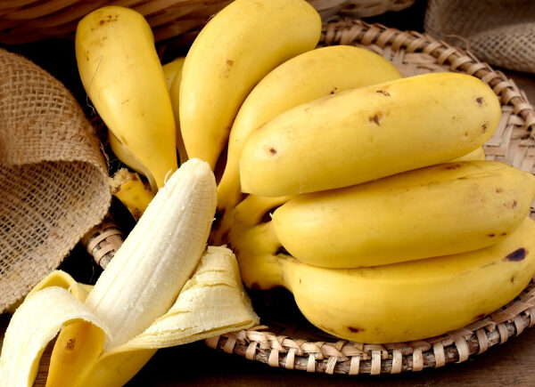 Bananas parecem iguais, mas têm benefícios diferentes: qual é a melhor para sua alimentação?