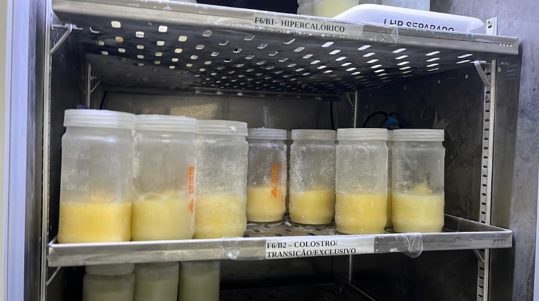 Nova Maternidade Evangelina Rosa intensifica campanha de doação de leite humano