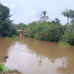 Em 24h, duas pessoas são encontradas mortas sob suspeita de afogamento no PI; vítima saiu para beber