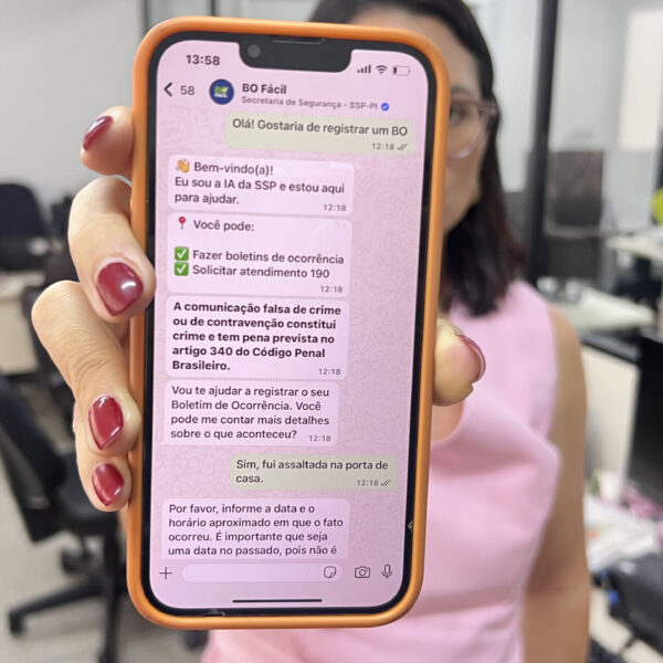 Integração de plataformas deve facilitar denúncias de violência doméstica no PI