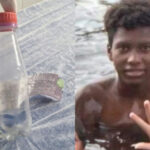 Avós são indiciados pela morte de adolescente após ingestão de veneno no Piauí