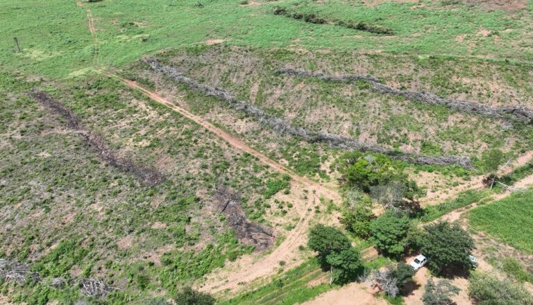 Operação identifica mais de 1,5 mil hectares de desmatamento ilegal no Piauí