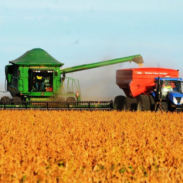 Piauí registra superávit de US$ 11,4 milhões na balança comercial em fevereiro