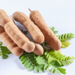 Tamarindo: 3 formas de consumir para aproveitar os benefícios do fruto