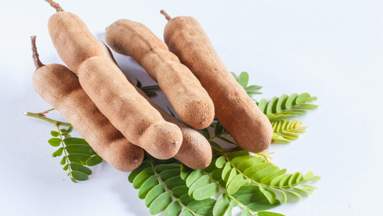 Tamarindo: 3 formas de consumir para aproveitar os benefícios do fruto