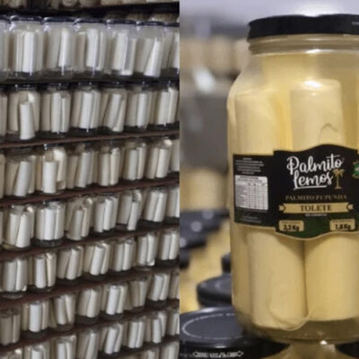 Anvisa proíbe comercialização de marca de palmito em conserva