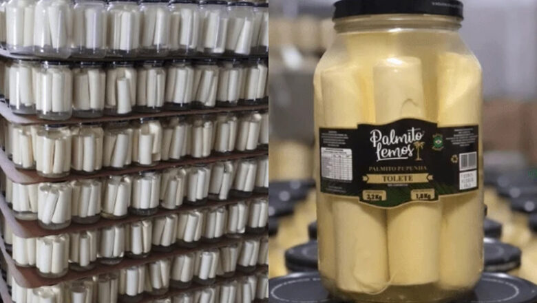 Anvisa proíbe comercialização de marca de palmito em conserva