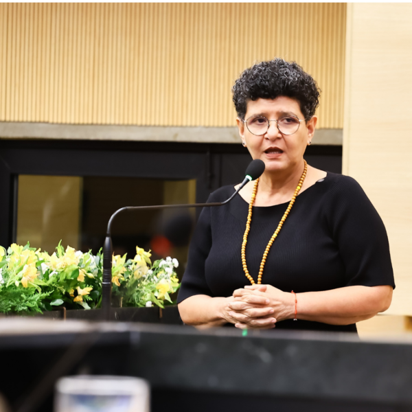 Secretária Rejane Tavares assume coordenação da Câmara Temática da Agricultura Familiar do Consórcio Nordeste