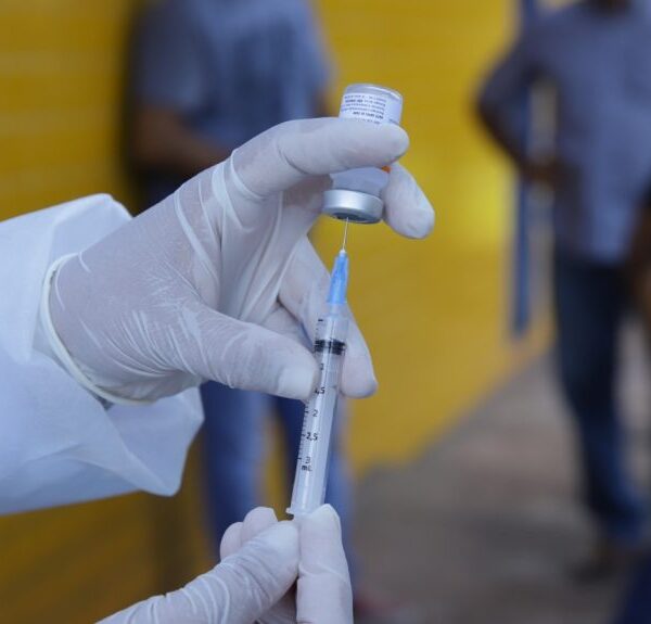 Piauí recebe 600 mil doses contra gripe e intensifica vacinação em todos os municípios