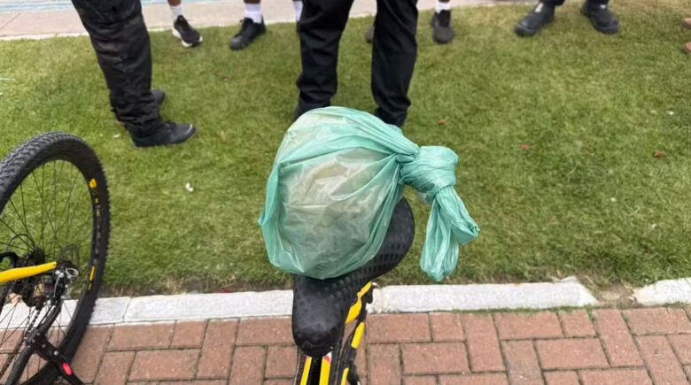 Banhista encontra crânio humano em praia de Maceió; saiba detalhes!