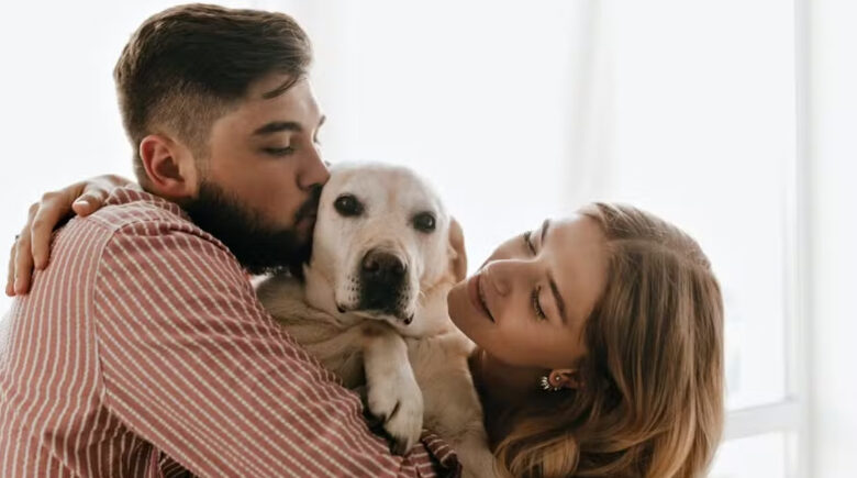 Senado aprova guarda compartilhada de pets em casos de divórcio; saiba regras