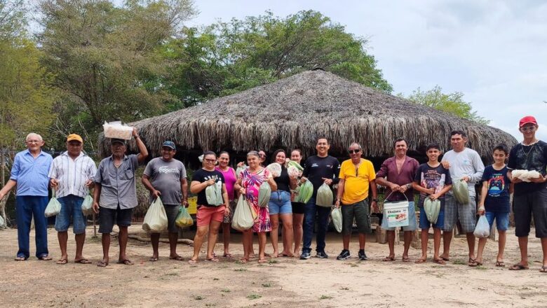 Com apoio do Estado, Programa de Aquisição de Alimentos gera renda e amplia acesso à alimentação de qualidade no Piauí