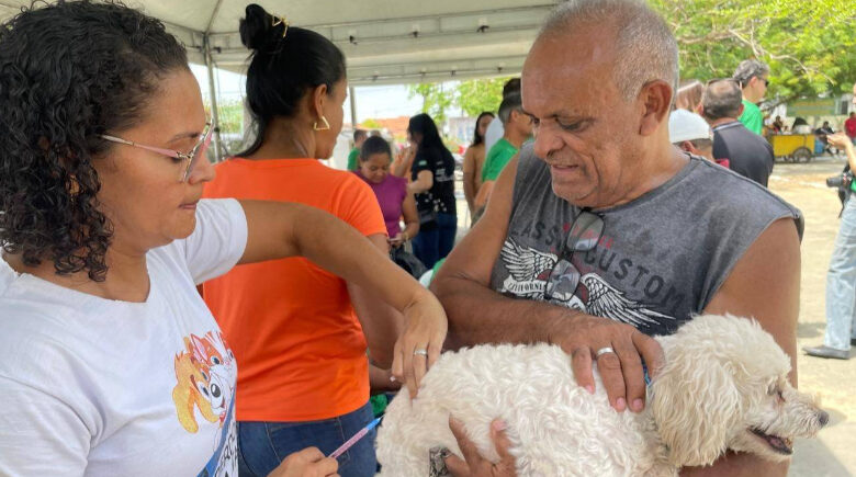 É hoje! Confira as localidades com vacinação contra a raiva na zona rural de Teresina
