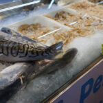 Vigilância Sanitária orienta como escolher e conservar pescado na Semana Santa