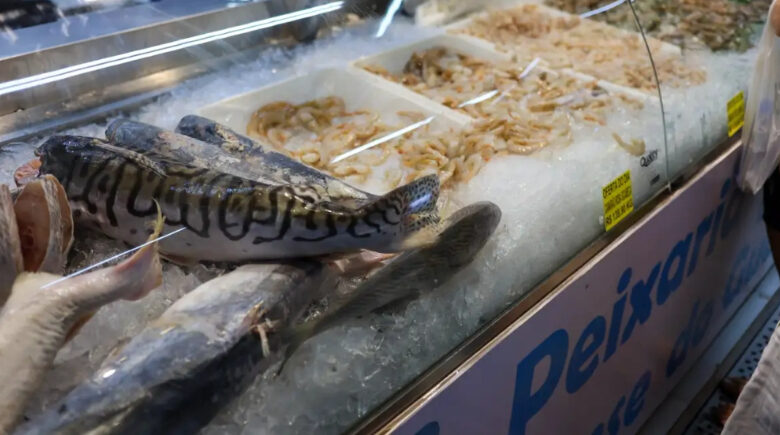 Vigilância Sanitária orienta como escolher e conservar pescado na Semana Santa
