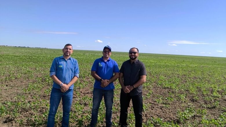 Equipe da Adapi visita polos de produção de fruticultura irrigada e algodão no sul do Piauí