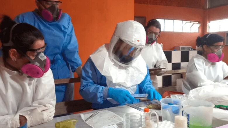 Paraná confirma dois casos de hantavírus e investiga outros 11