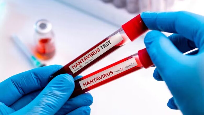 Surto de Hantavírus no navio não representa risco para o Brasil