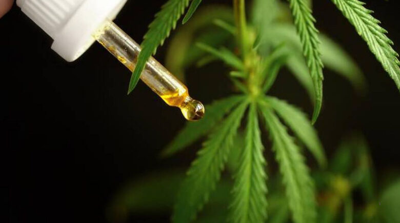Anvisa proíbe a venda e a divulgação de dois remédios à base de cannabis
