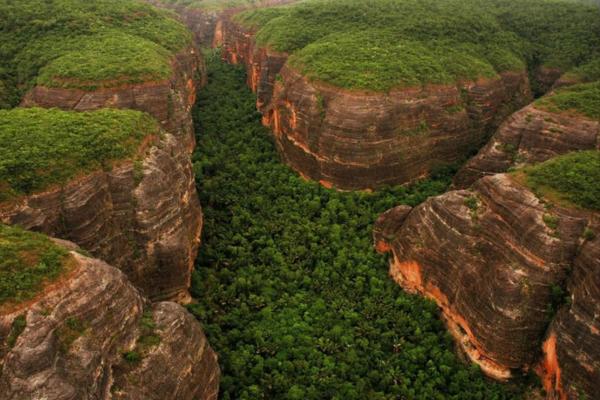 Com queda histórica de 78%, Piauí registra maior redução proporcional do desmatamento da Mata Atlântica no Brasil