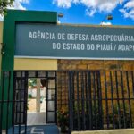Adapi recebe avaliação máxima em relatório de gestão do Tribunal de Contas do Estado do Piauí (TCE-PI)