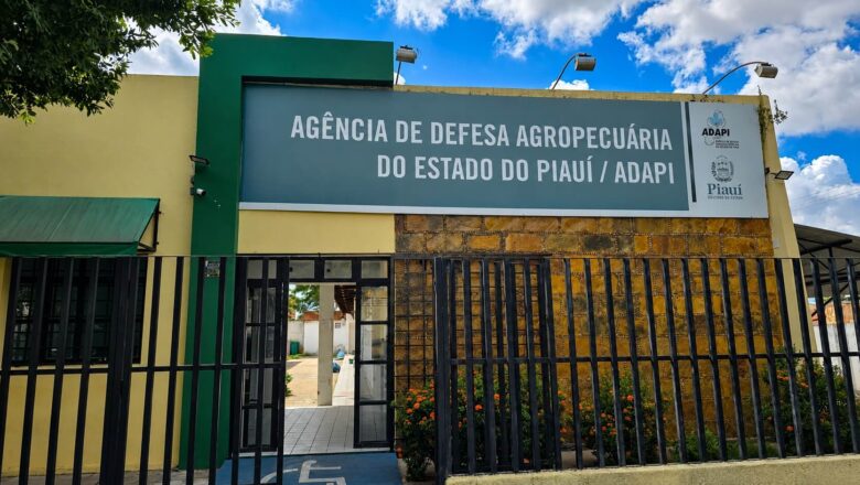 Adapi recebe avaliação máxima em relatório de gestão do Tribunal de Contas do Estado do Piauí (TCE-PI)