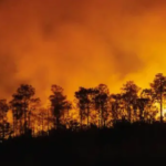 Governo do Estado lança Pacto Piauí Sem Queimadas para fortalecer a prevenção e combate aos incêndios florestais